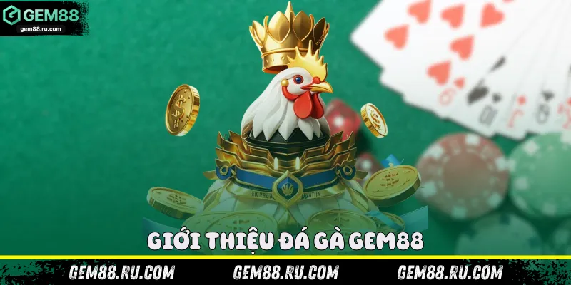 Giới thiệu đá gà Gem88